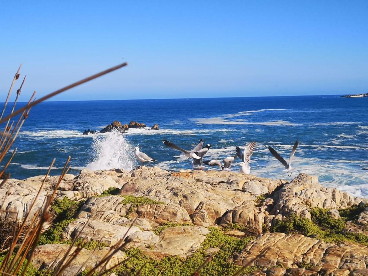 Troon Beach Cottage Hermanus Exteriér fotografie