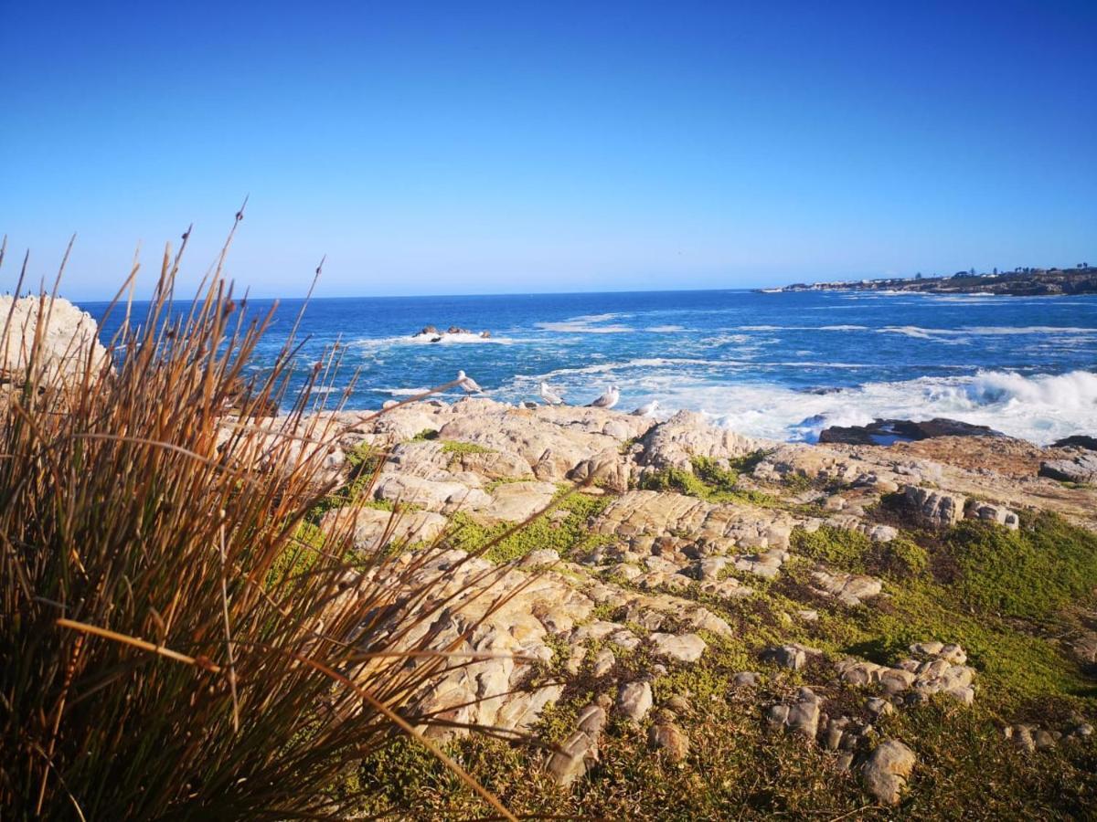 Troon Beach Cottage Hermanus Exteriér fotografie